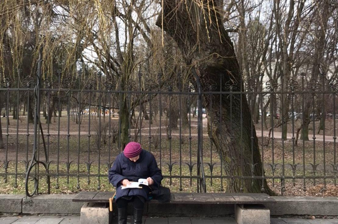 🌳 %2,2'lik nefes alanı