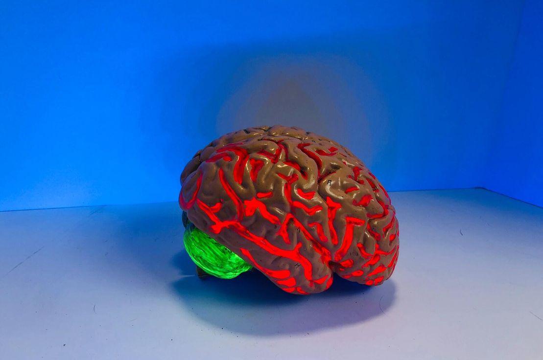 🧠 Neuralink ve aşkın algoritması