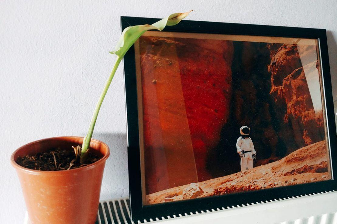 fotoğraf:fugamundi