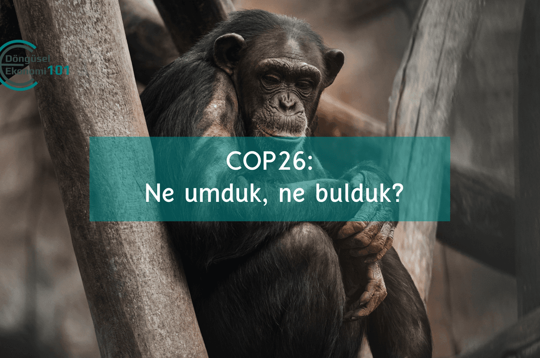 COP26: Ne umduk, ne bulduk?