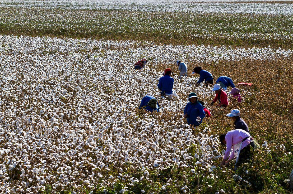 Fotoğraf: Zhouyousifang / Getty Images