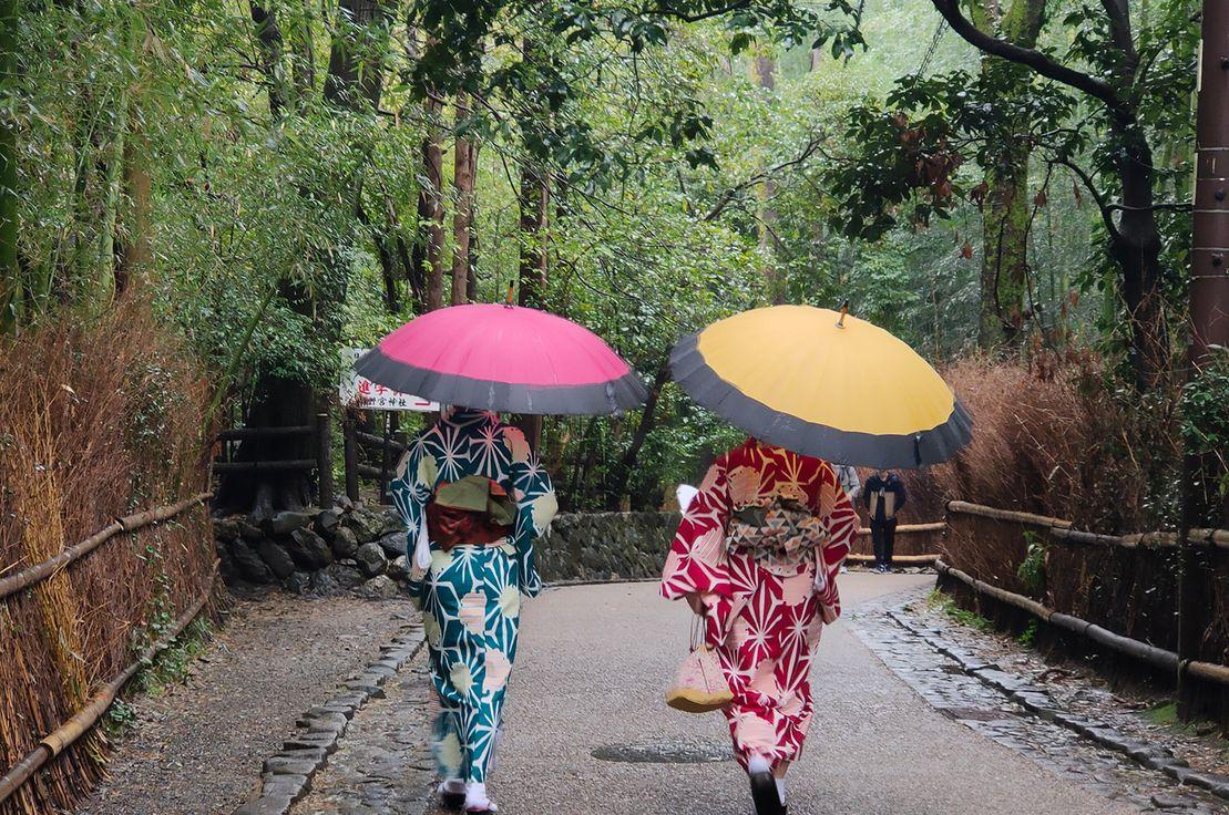 Kyoto Kerimcan Akduman