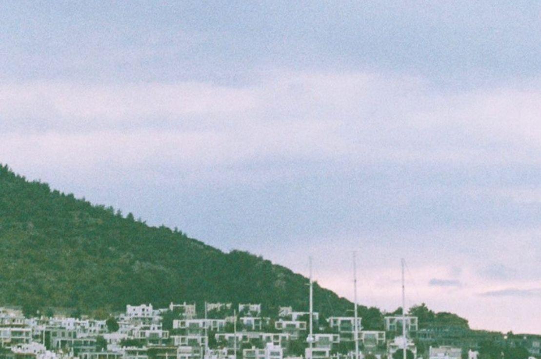 İlayza Küçükşahin