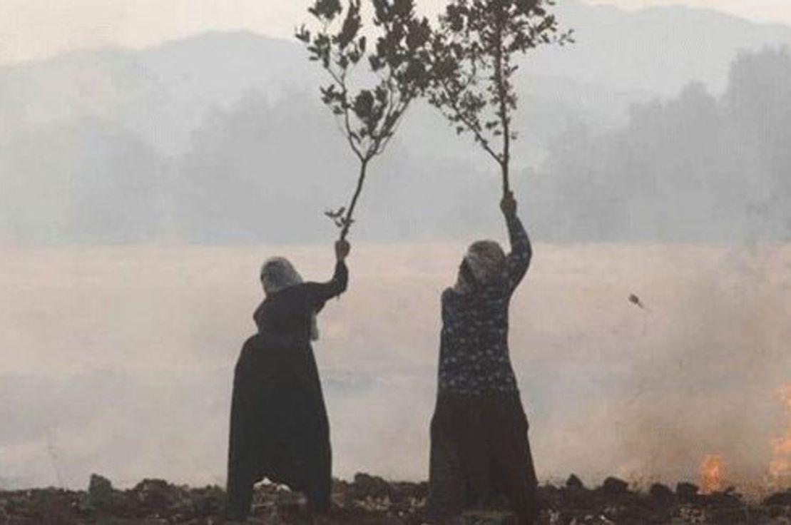 Yangın Yeri: Sönmeyen Ateş, Görmeyen Göz