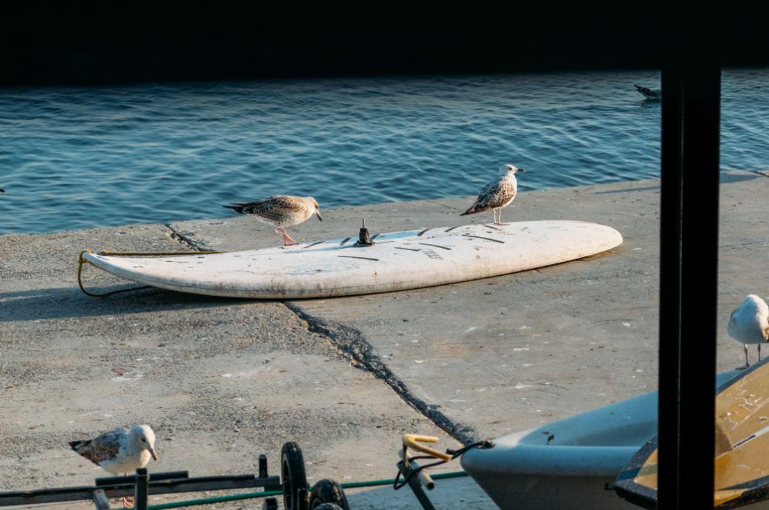 Fotoğraf: Deniz Sabuncu