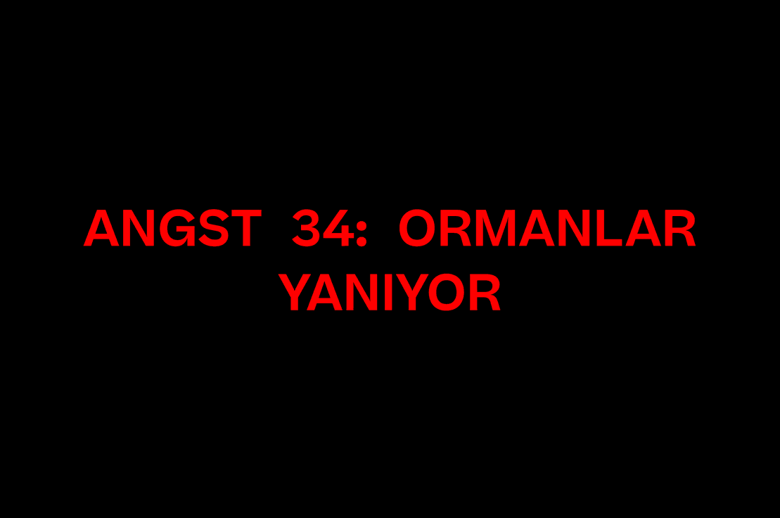 ANGST 34: ORMANLAR YANIYOR