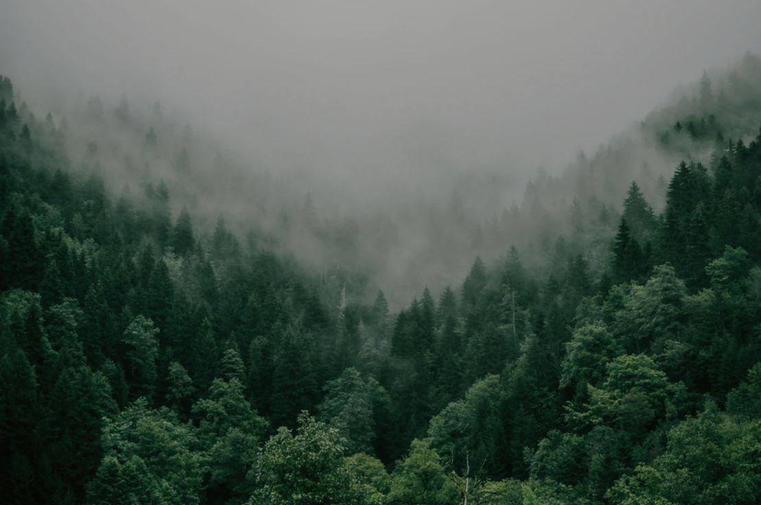 Photo by Marita Kavelashvili on Unsplash