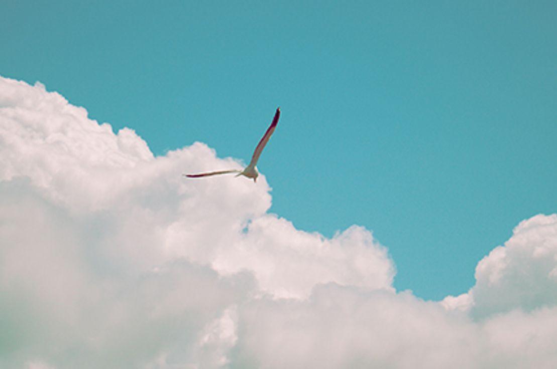  Dallas Reedy - Unsplash
