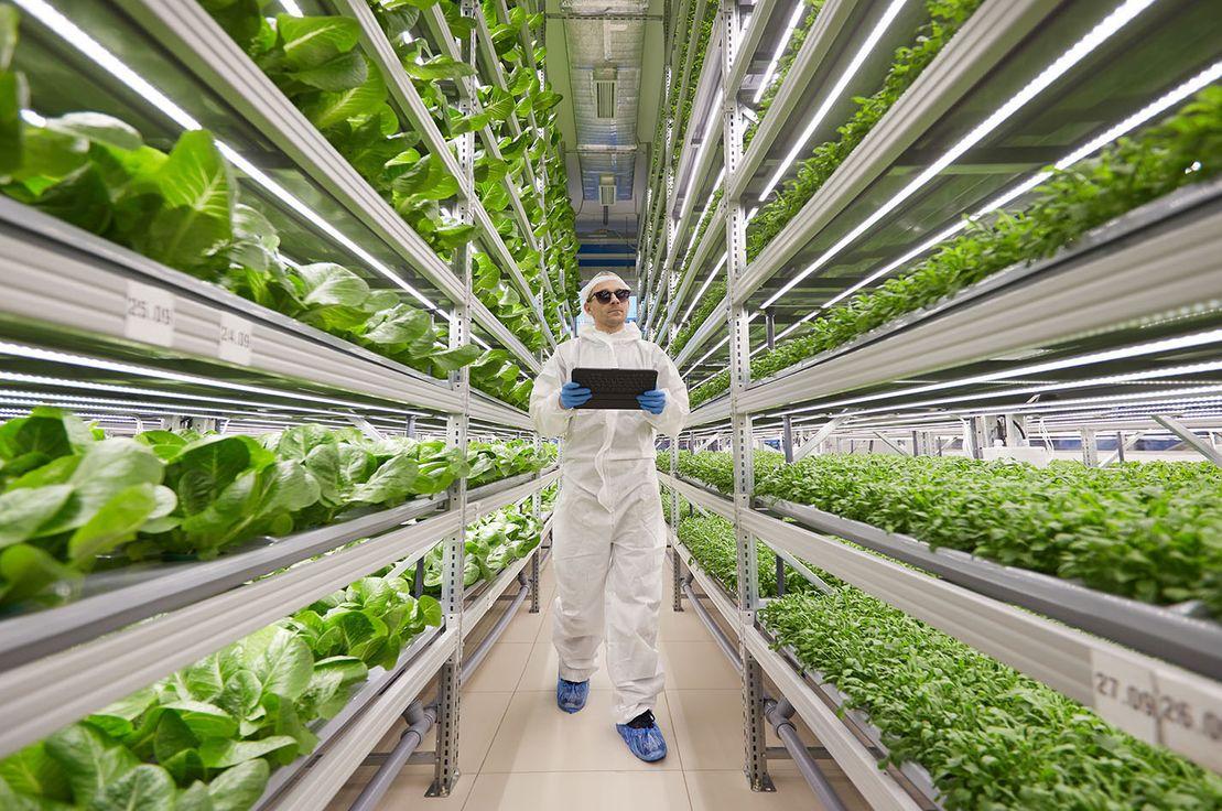 iFarm