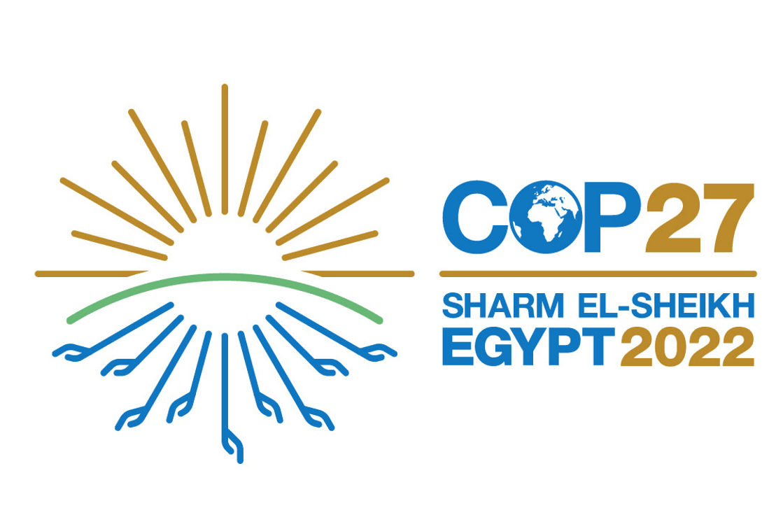 https://cop27.eg/#/