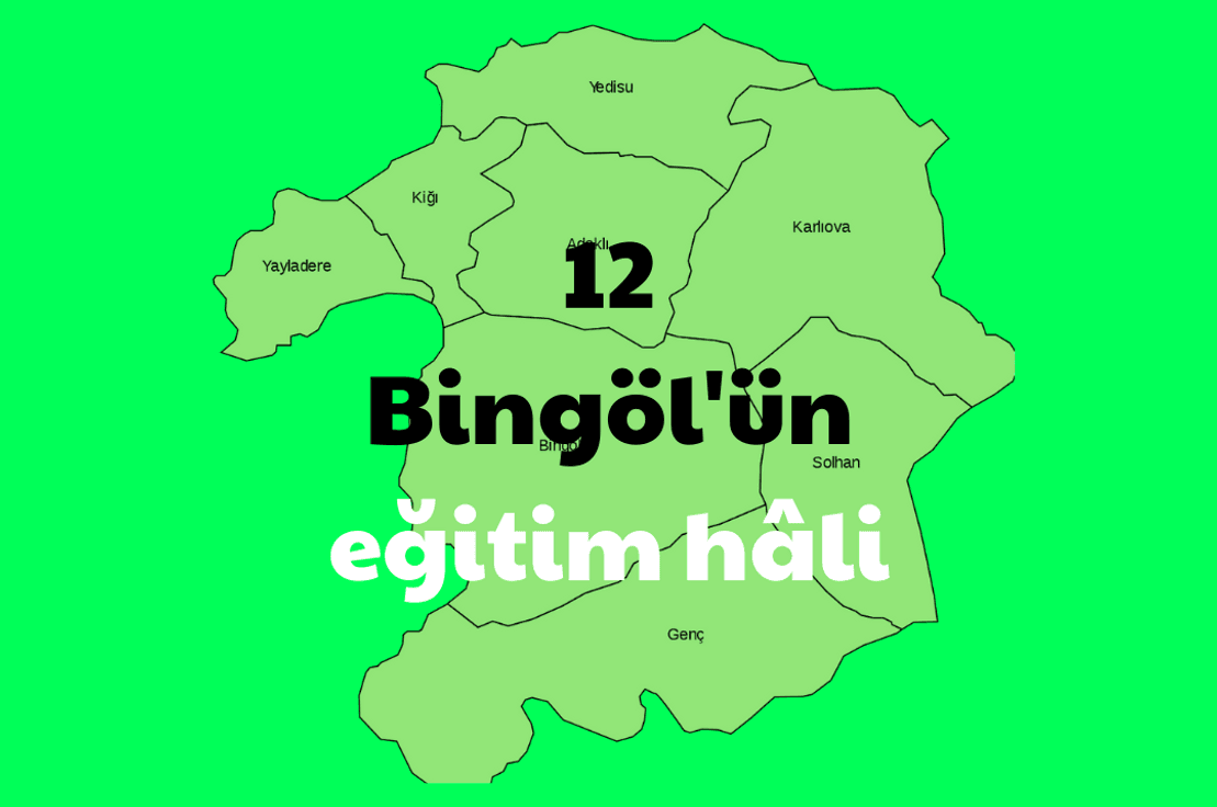 12: Bingöl'ün eğitim hâli