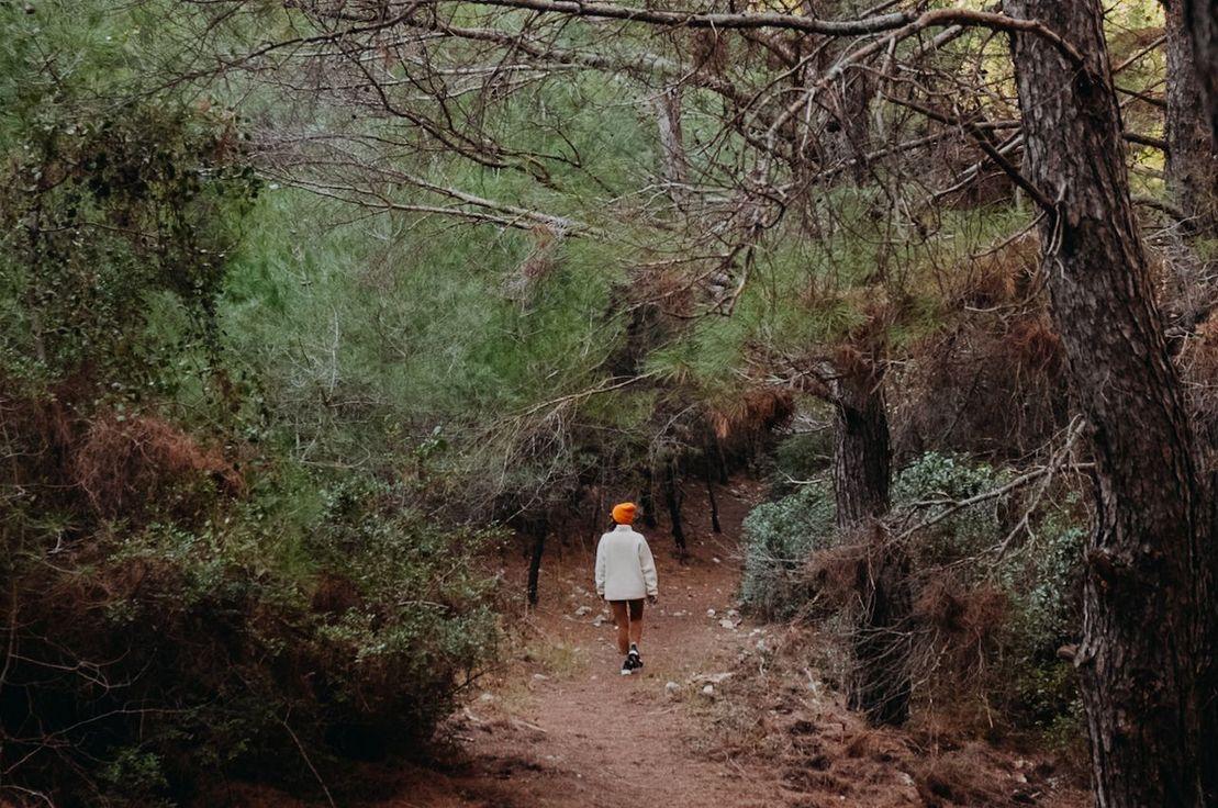 Fotoğraf: Trail of Us