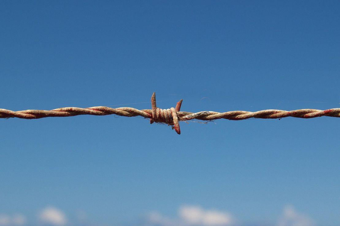 Çifte Standart: Ukraynalı Mülteciler ve “Diğer”leri