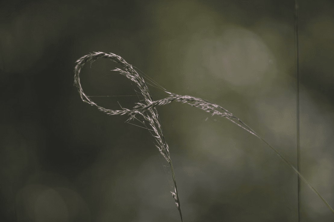 Unsplash.com