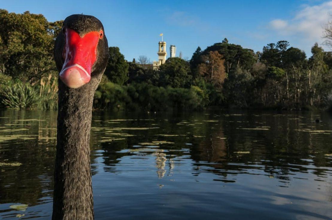 📷: Leigh Henningham 