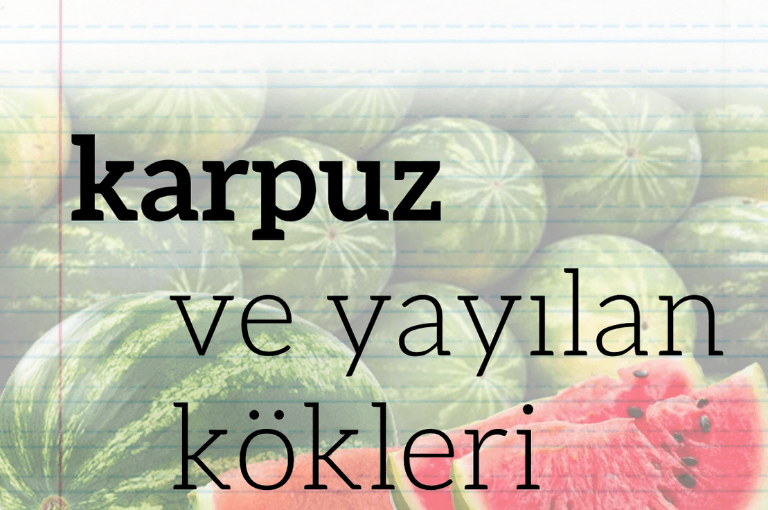 Karpuz ve Yayılan Kökleri