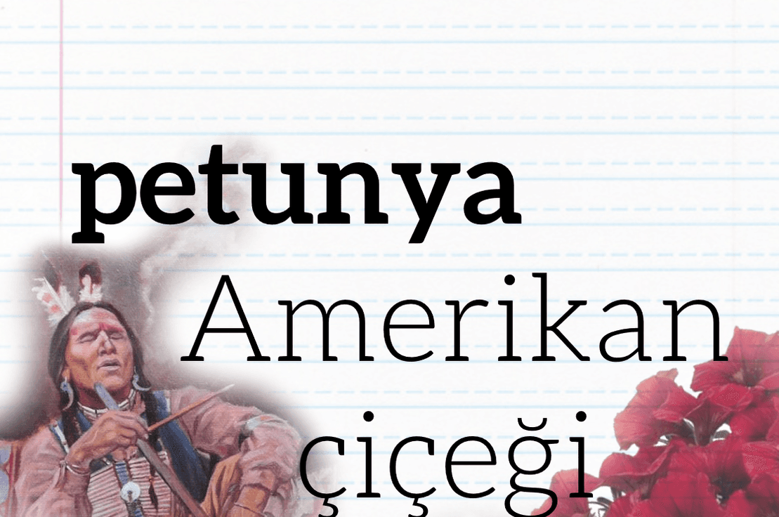 Petunya