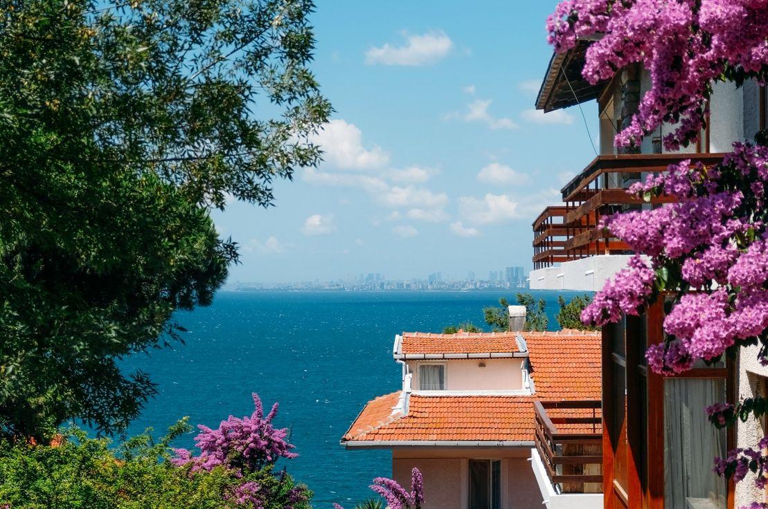 Büyükada, 2022 | Fotoğraf: Deniz Sabuncu
