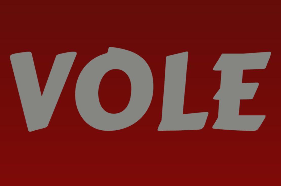 No:441 VOLE, 40 milyon dolar değerleme ile yatırım aldı.