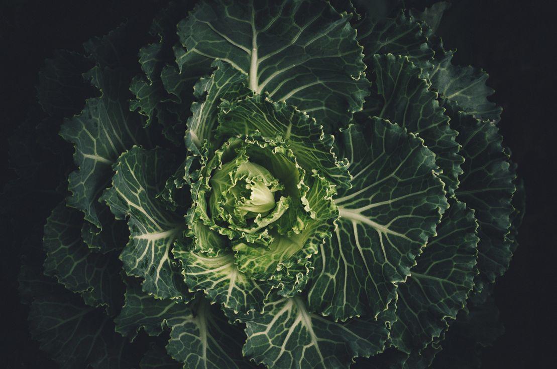unsplash.com