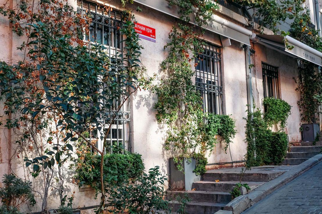 Highlights of the week: Conservatism, Co-Working, CI