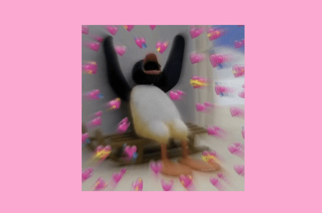 🐧 Hepimiz Pinguyuz 🐧