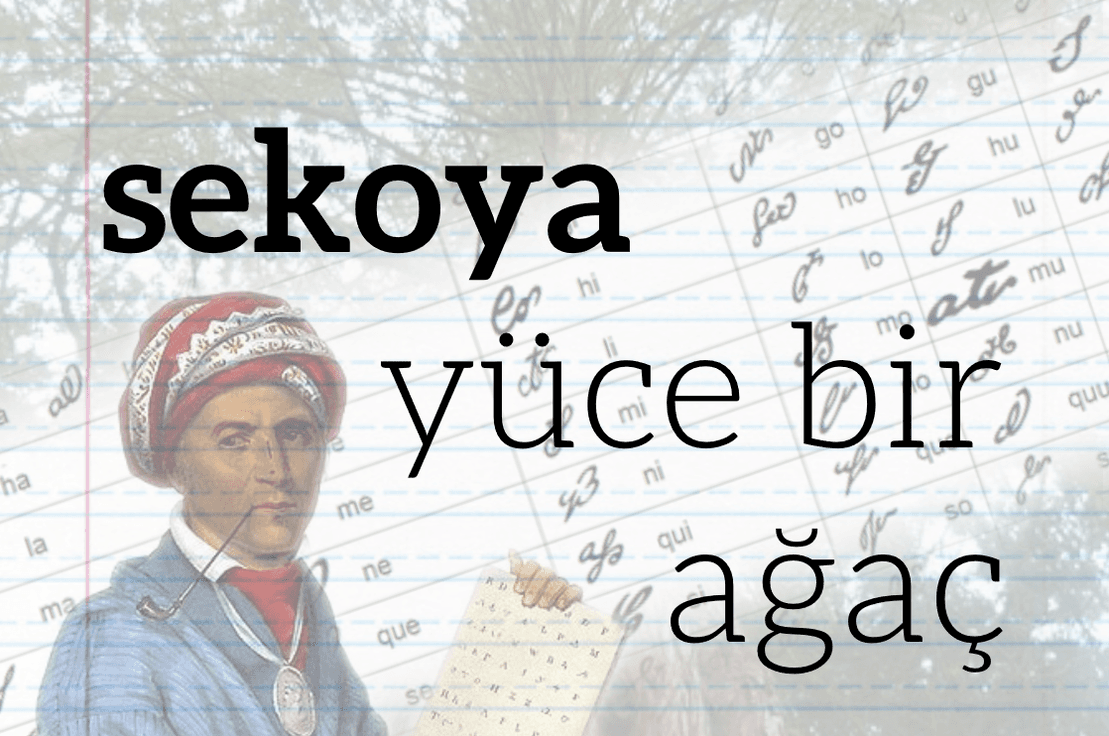 Sekoya: Yüce bir ağaç