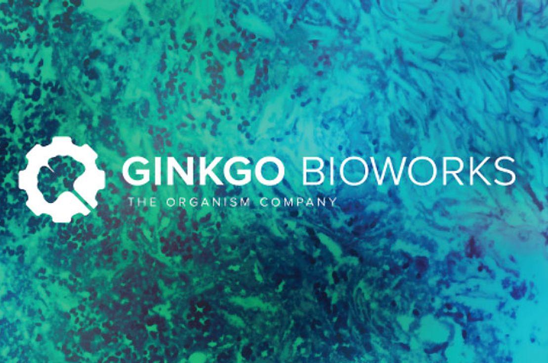 Ginkgo Bioworks