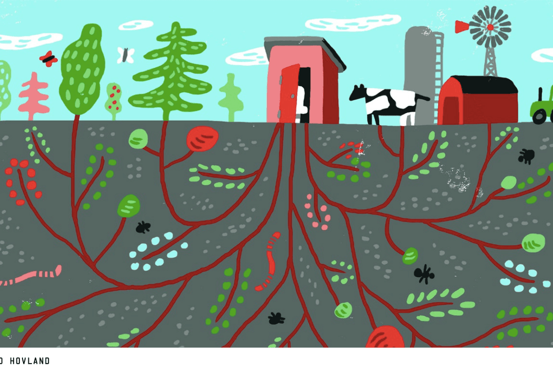 https://www.wired.co.uk/article/human-faeces-poo-as-fertiliser