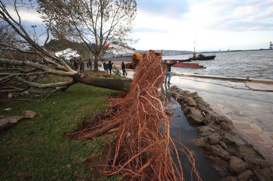 Fotoğraf: Ömer Ürer/ Anadolu Ajansı