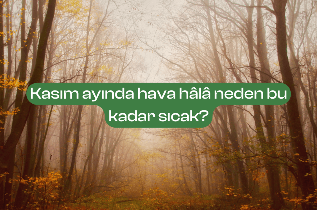 Kasım ayında hava hâlâ neden bu kadar sıcak?