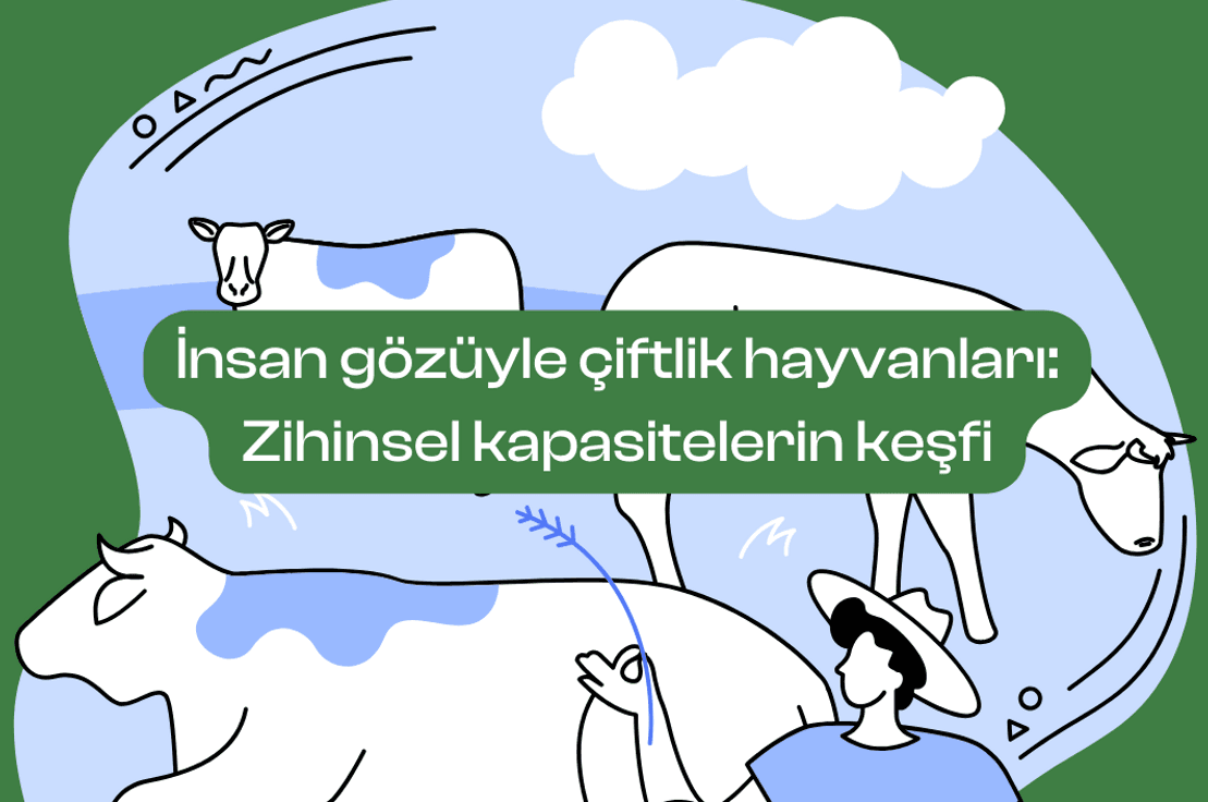 Tasarım: Alara Demirel