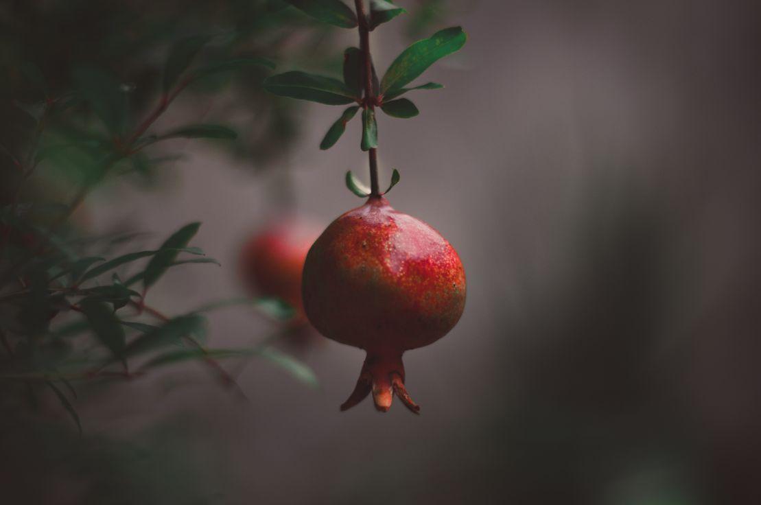 Unsplash