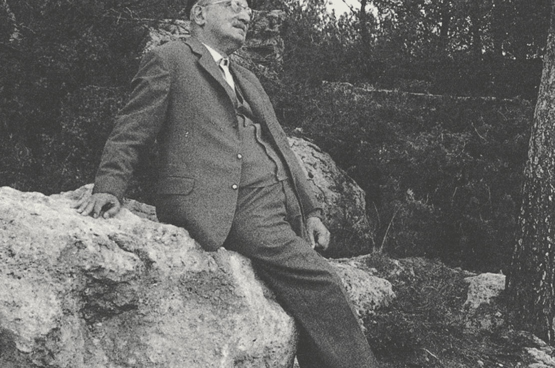 Martin Heidegger: “Düşünmenin kaderi…” 