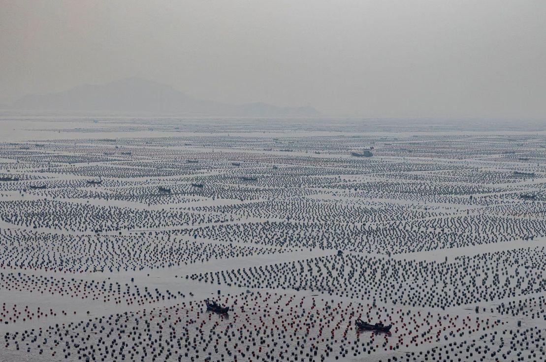 Fotoğraf: Reuters