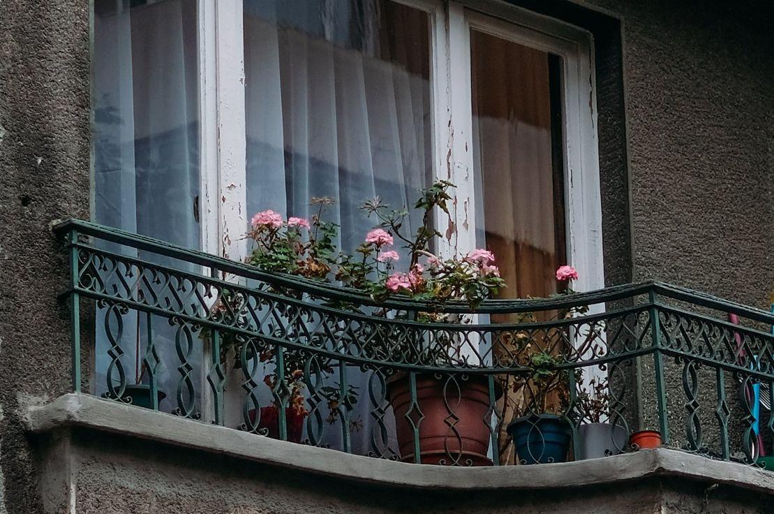 Fotoğraf: Deniz Sabuncu