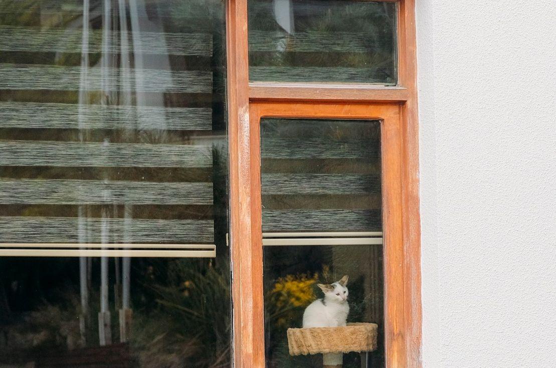 Fotoğraf: Deniz Sabuncu