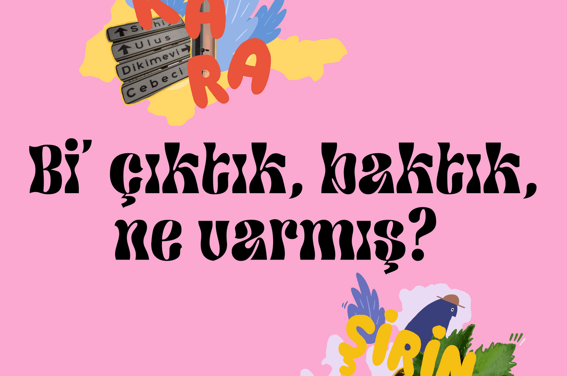 Bi' çıktık, baktık, ne varmış? 