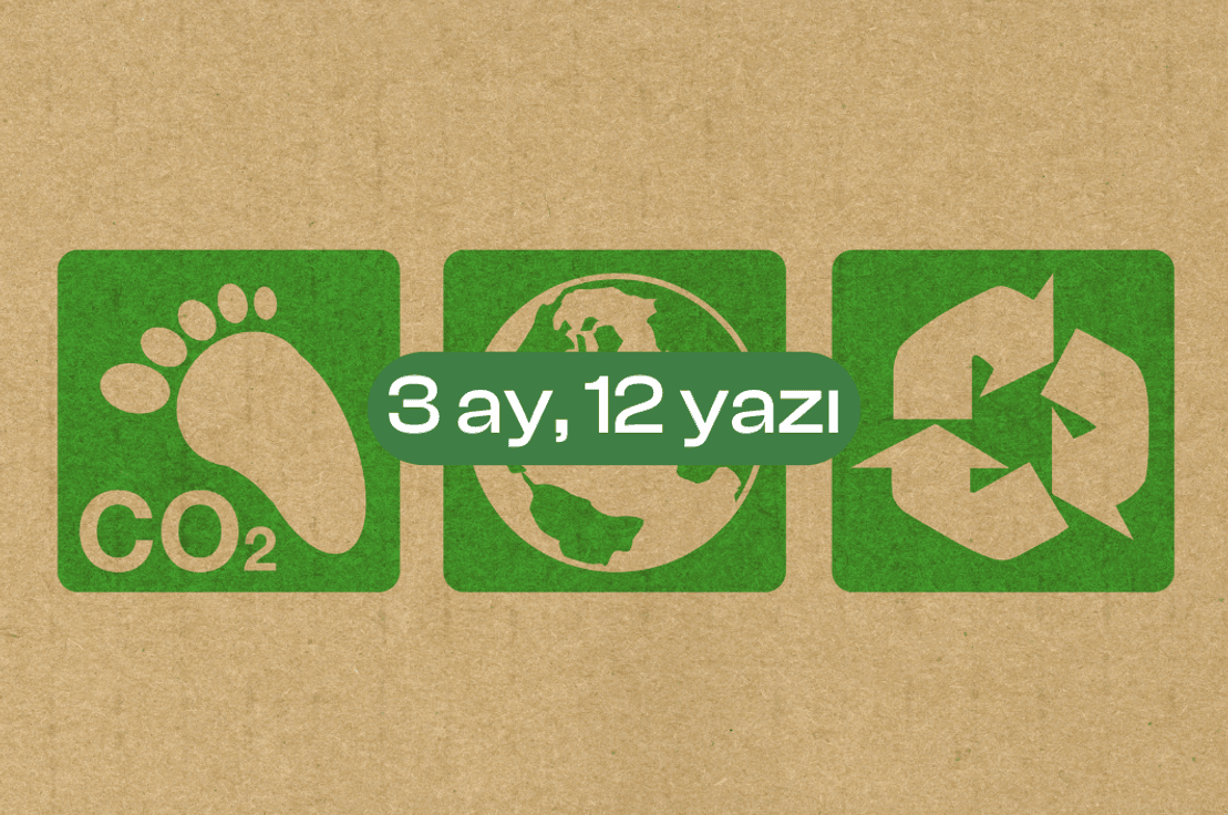 3 ay, 12 yazı