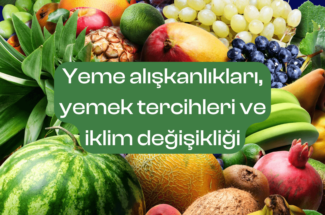 Yeme alışkanlıkları, yemek tercihleri ve iklim değişikliği