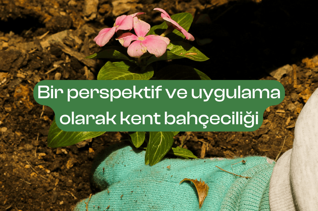 Bir perspektif ve uygulama olarak kent bahçeciliği