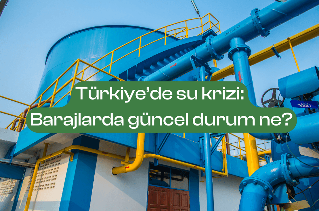 Fotoğraf: Canva