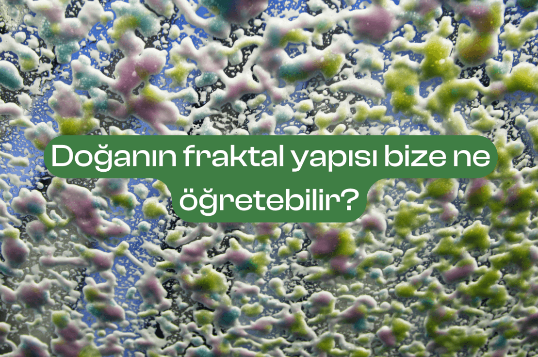 Doğanın fraktal yapısı bize ne öğretebilir?