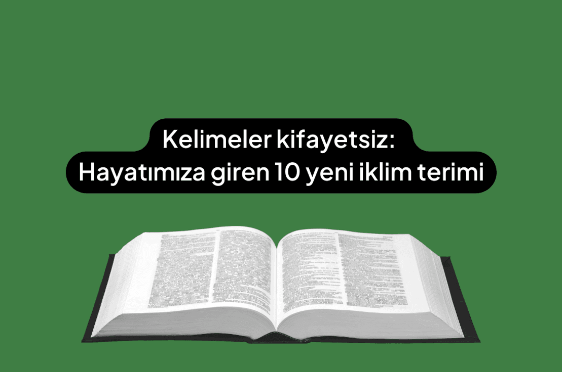 Kelimeler kifayetsiz: Hayatımıza giren 10 yeni iklim terimi