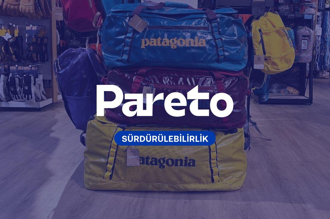 🏔️ Patagonia'nın sürdürülemezliği, Planted Solar