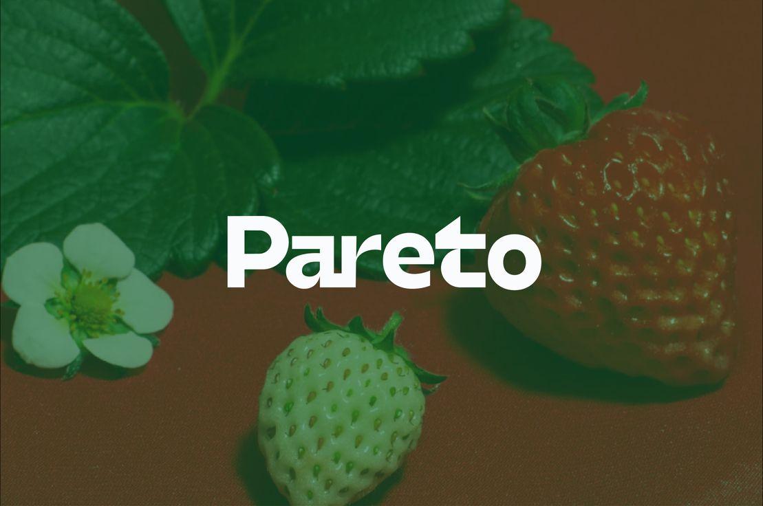 Pareto Sürdürülebilirlik
