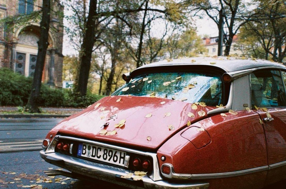 Fotoğraf: Çınar Çabuk