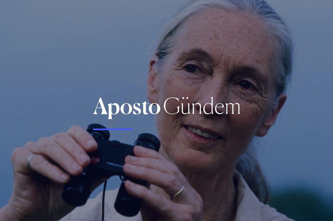 Dr. Jane Goodall, Fotoğraf: Bill Wallauer