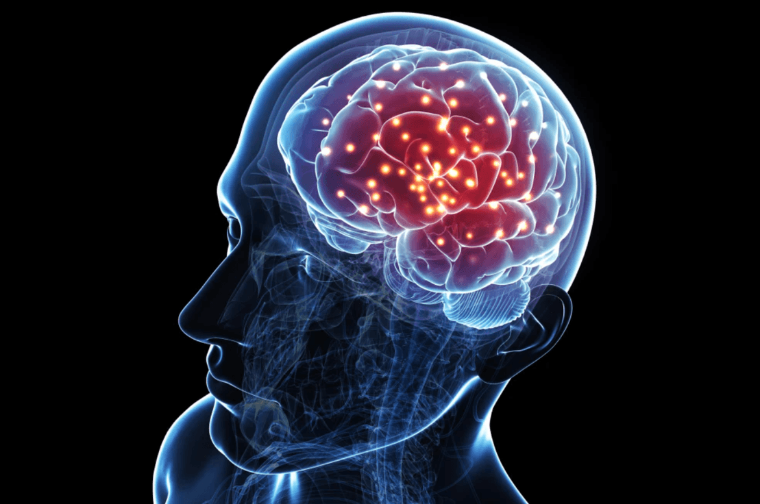 🧠 Anı oluşumu, robotik iPad 