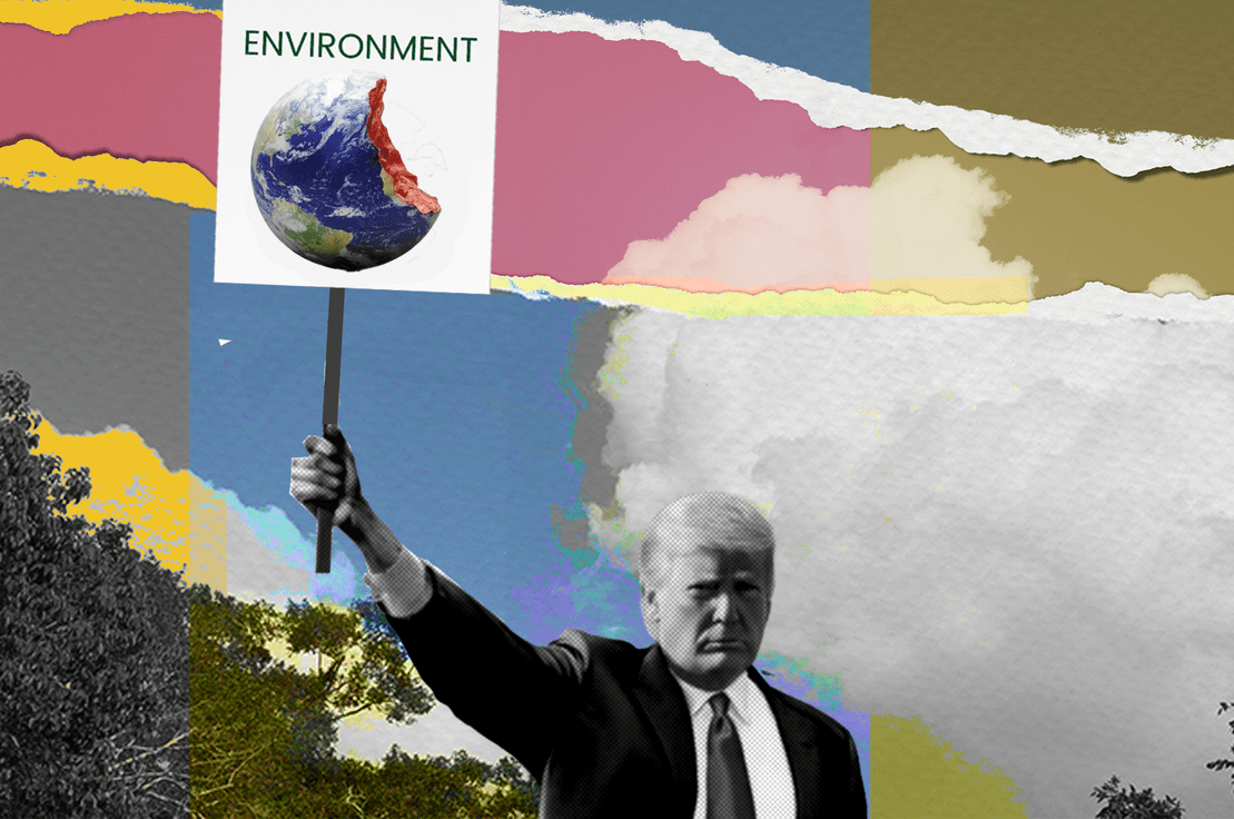 ♻️ Trump 2.0 etkileri, İklim Haftası 